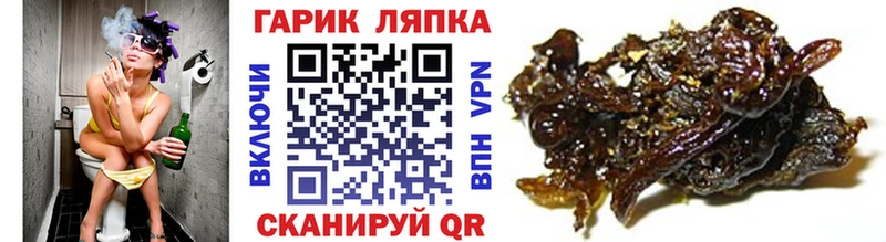 Купить наркотики сайты Малая Вишера kraken зеркало  Псилоцибиновые грибы  Меф мяу мяу  Гашиш 