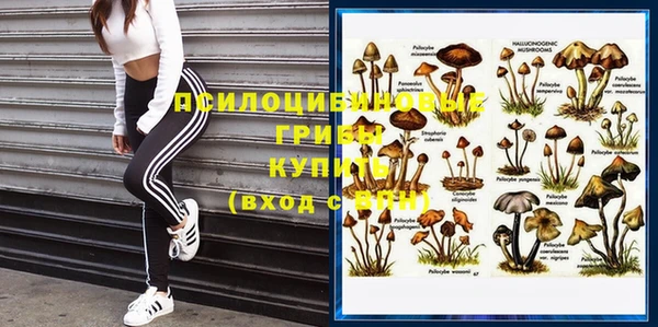 ECSTASY Богородск