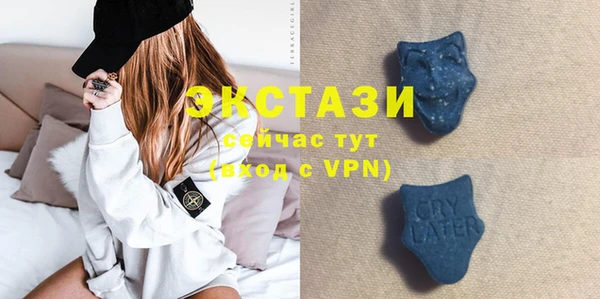 ECSTASY Богородск