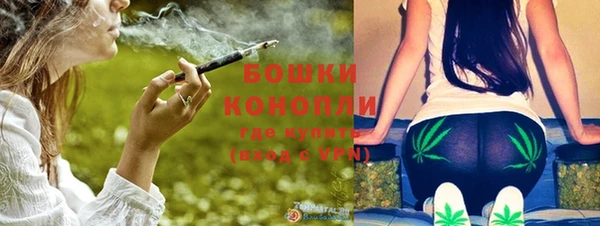 ECSTASY Богородск