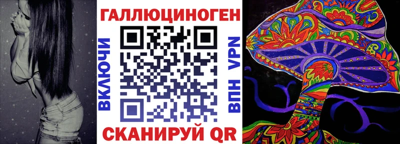 Галлюциногенные грибы Psilocybine cubensis  Малая Вишера 
